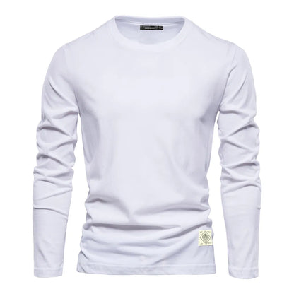 BARPINTON | Basic Longsleeve Herren für den Frühling
