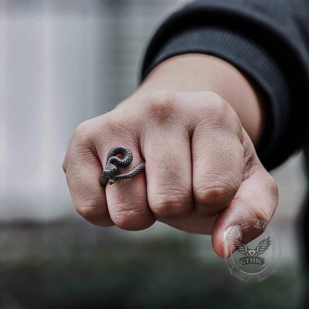 Entwined Snake Stainless Steel Ring