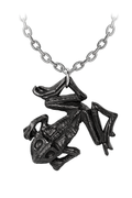 Gothic Dead Frog Talisman Pendant With Pewter Chain