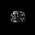 Skull of the Silent Mary Ring
